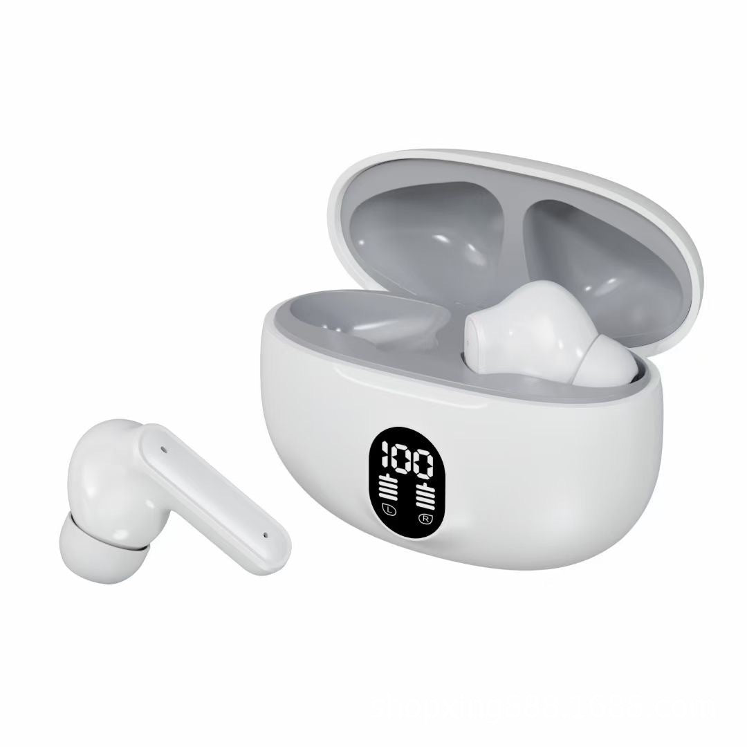 895B Earbuds