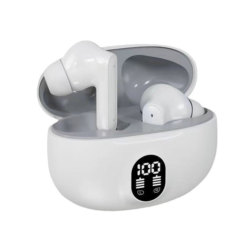 895B Earbuds