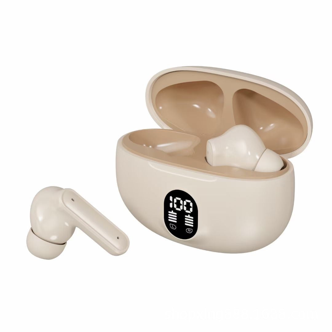 895B Earbuds