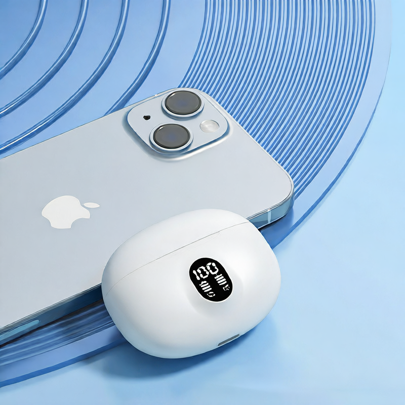 895B Earbuds